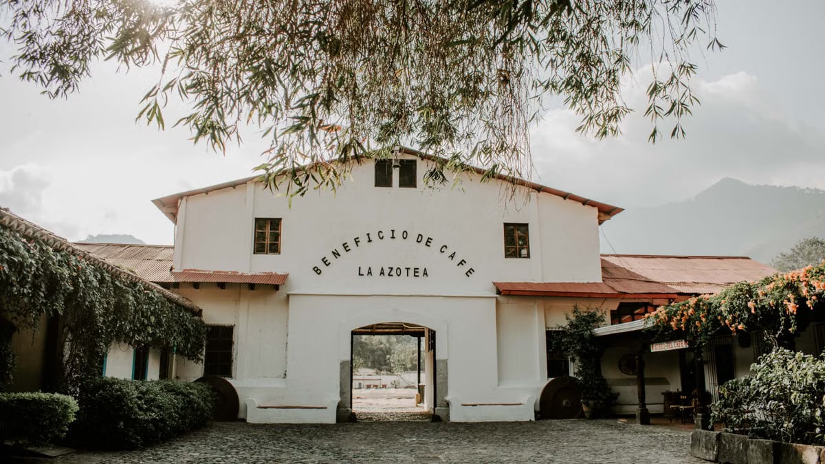 Charming historic building of Beneficio de Cafe La Azotea surrounded by lush greenery and cobblestones.
